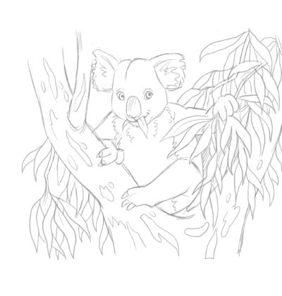 Stewie Koala on the tree sketch - Magical Mountains