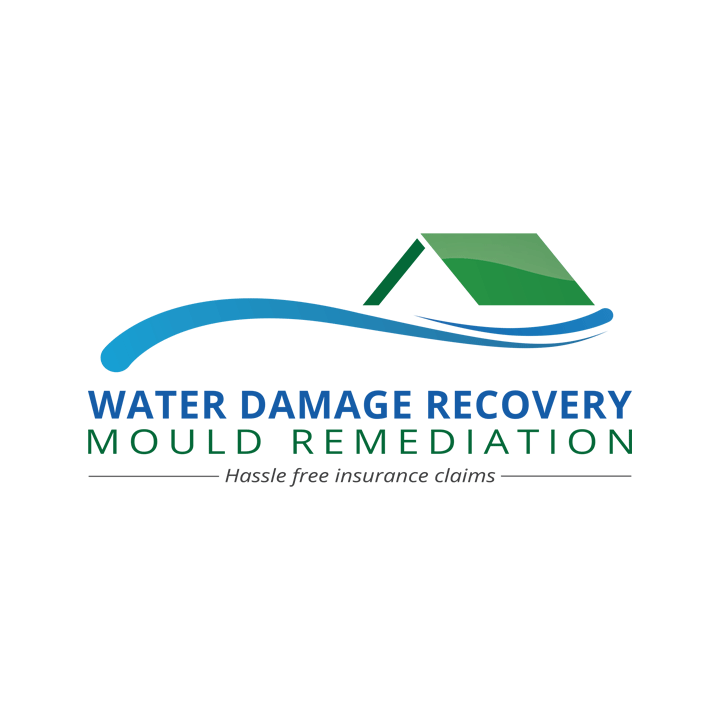Water Damage Recovery Mould Remediation